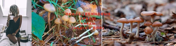 прущая мука Алексеевка
