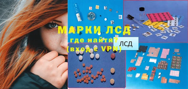 хмурый Алзамай