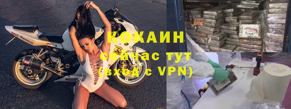хмурый Алзамай
