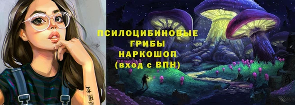 хмурый Алзамай